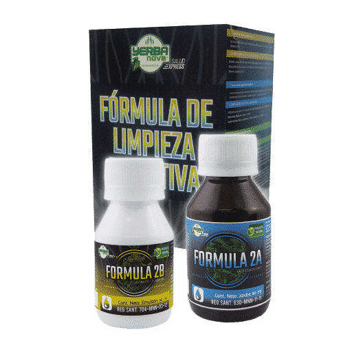 Kit de Limpieza 2 en 1